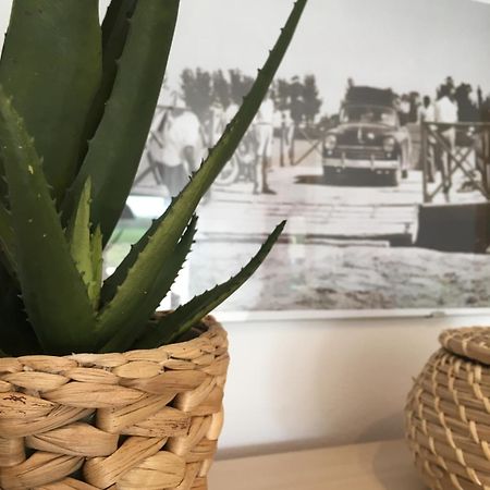 Apartament Lo Passador Делтебре Екстериор снимка
