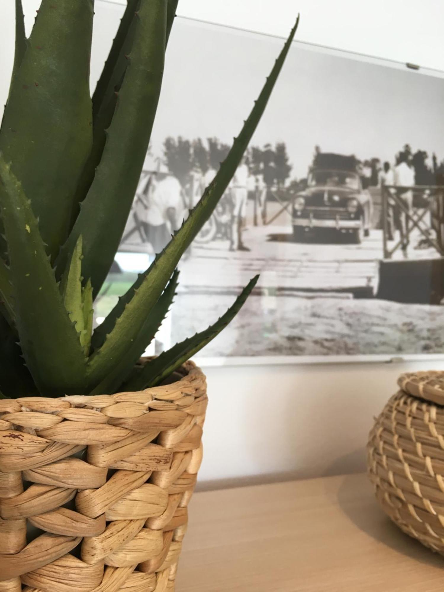 Apartament Lo Passador Делтебре Екстериор снимка